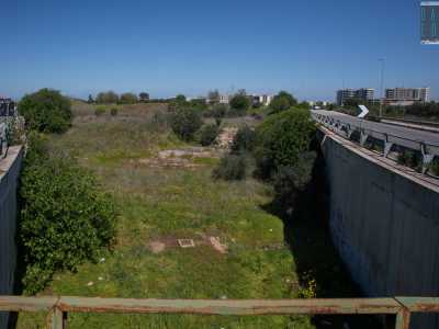 ...e da qui riusciamo a intravedere l�ingresso della grotta scavato nel banco roccioso e nascosto da fronde di alberi, arbusti e vegetazione incolta